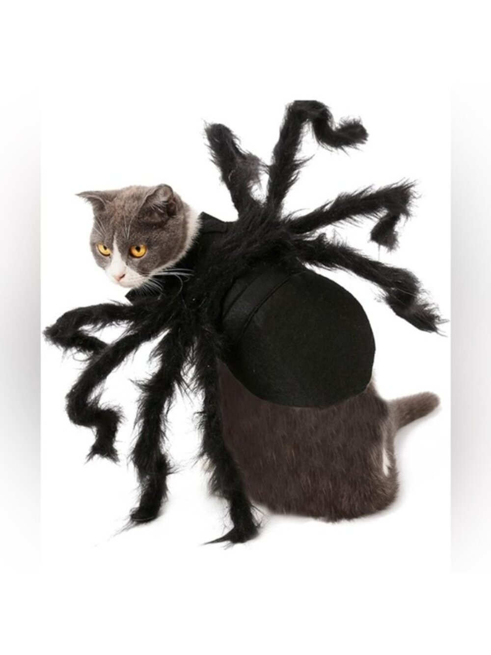 Halloween Pet  Spider Costume -